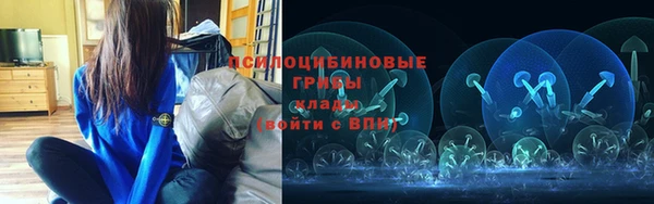 прущие грибы Алексин