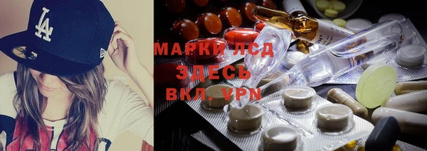 apvp Алзамай