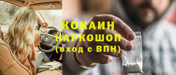 apvp Алзамай