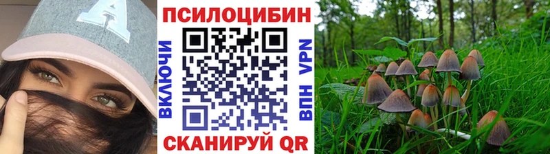 Галлюциногенные грибы Cubensis  где найти   Кольчугино 
